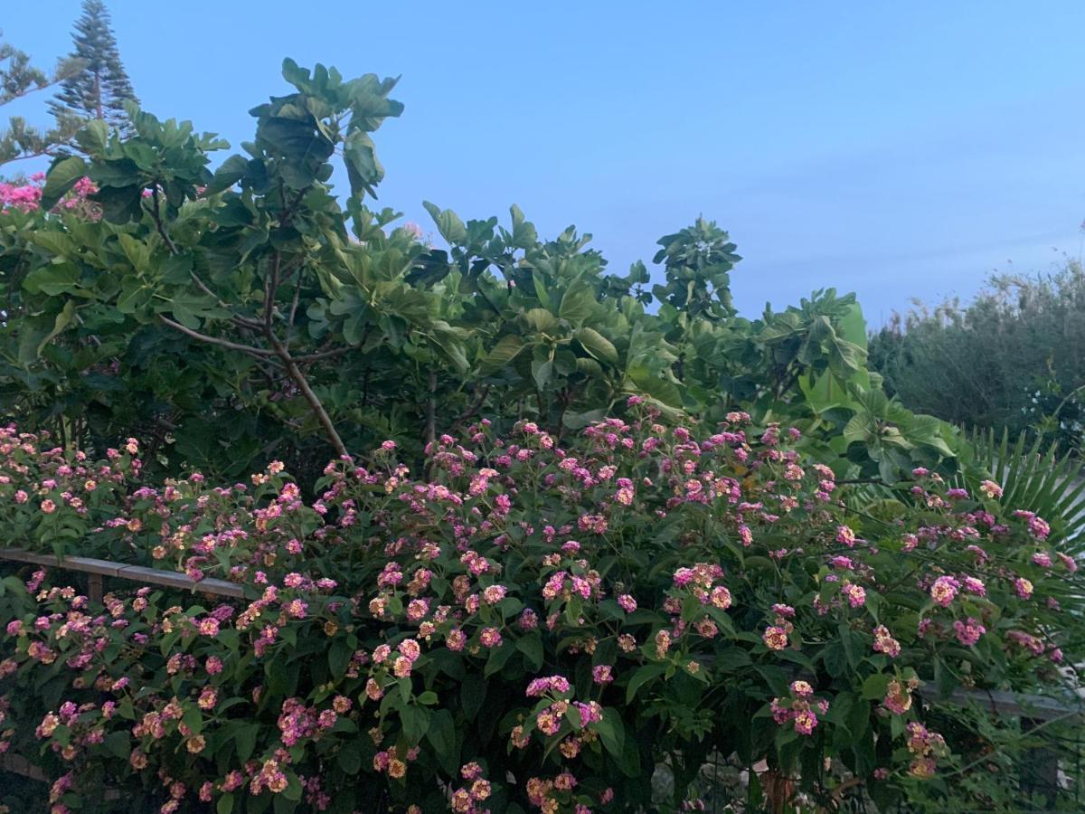 Villa Morgana Menfi Esterno foto